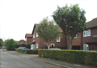 new housing