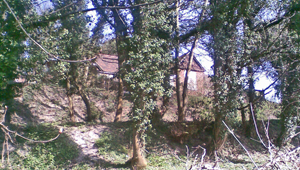 Chesham Hospital