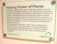 plaque