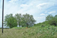site of Dagenham Hospital