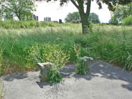 site of Dagenham Hospital