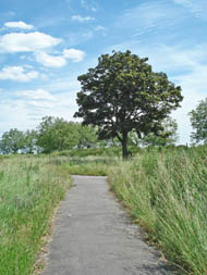 site of Dagenham Hospital