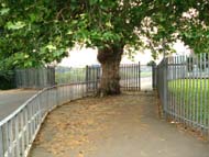 Roman Road