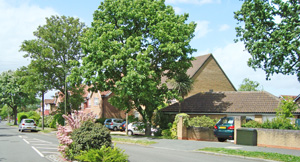 Elmwood Drive
