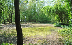 Hainault Lodge