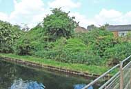 back of site