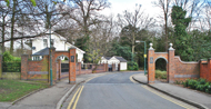Harts Grove