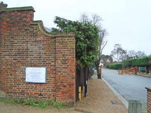 Home of Compassion