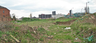 wasteland