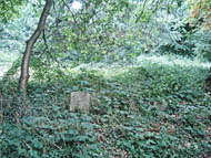 cemetery
