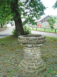 ornamental font