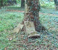 gravestones