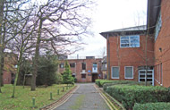 Gray Institute