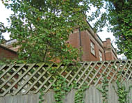 side block