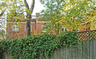 side view