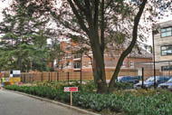 Bishop's Park