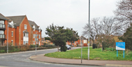Rush Green