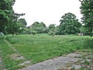 Allotments