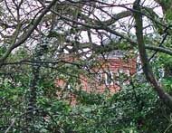 The Elms