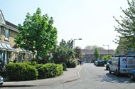 Ann Moss Way