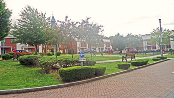St Saviour's College