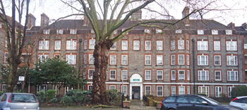 Tailors Asylum