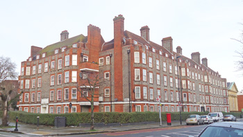 Tailors Asylum