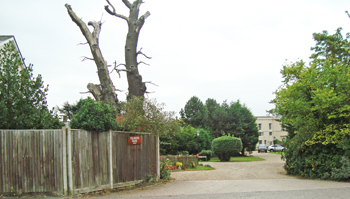 Tolmers Park