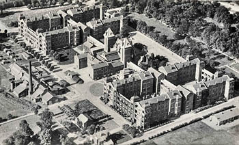 Whipps X Hospital